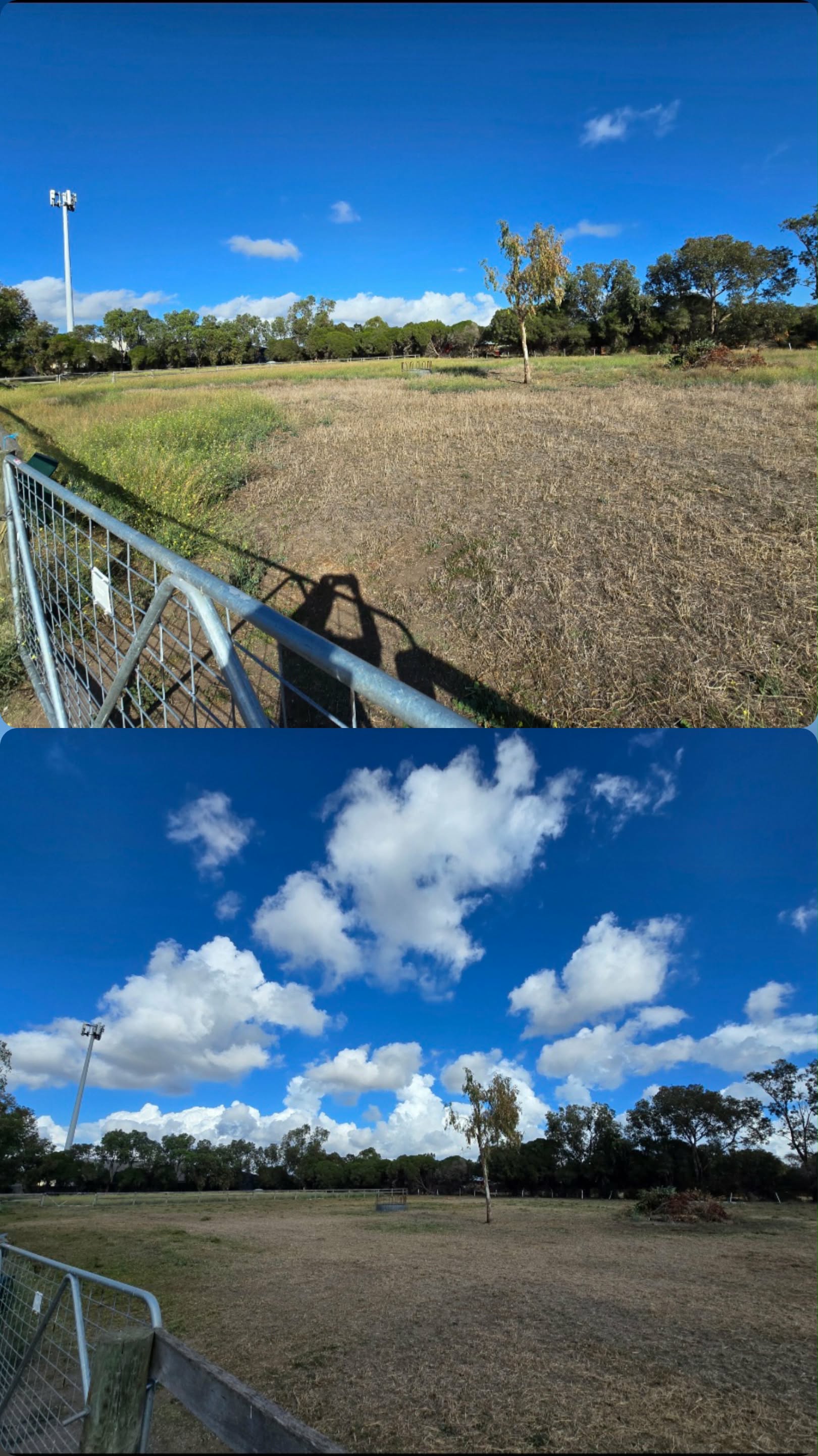 Acreage mowing before and after work by Reggie's Lawn and Outdoor Solutions
