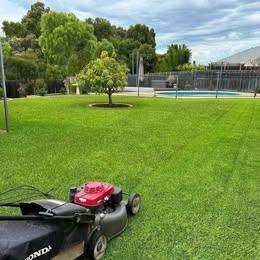 Completed lawn care finish by Reggie's Lawn and Outdoor Solutions